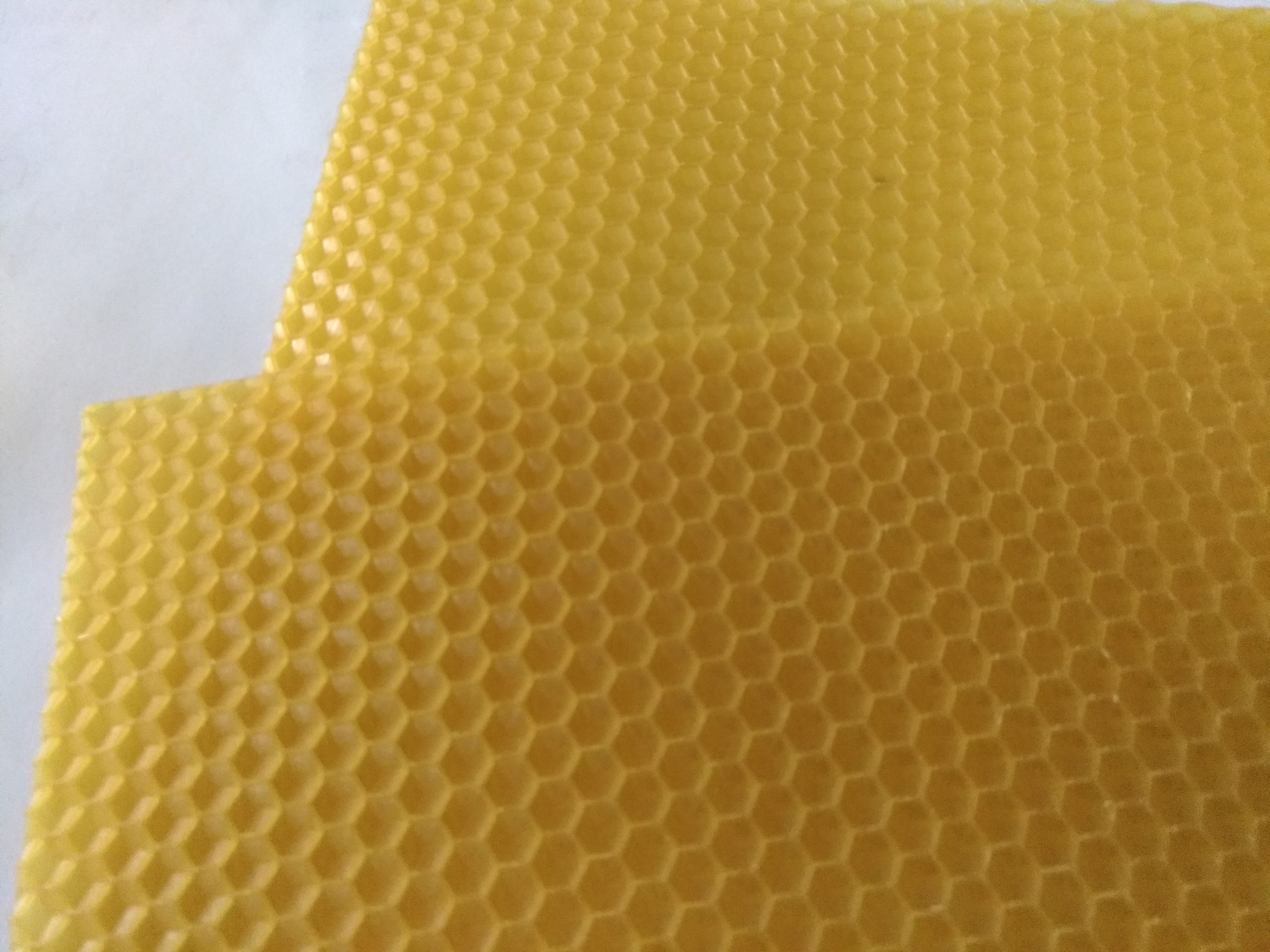 Erkek Arı Gözlü Petek