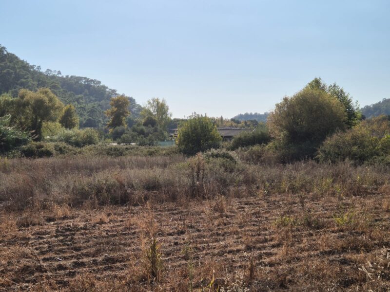 Fethiye İnlice'de Satılık Yola Sıfır Tarla