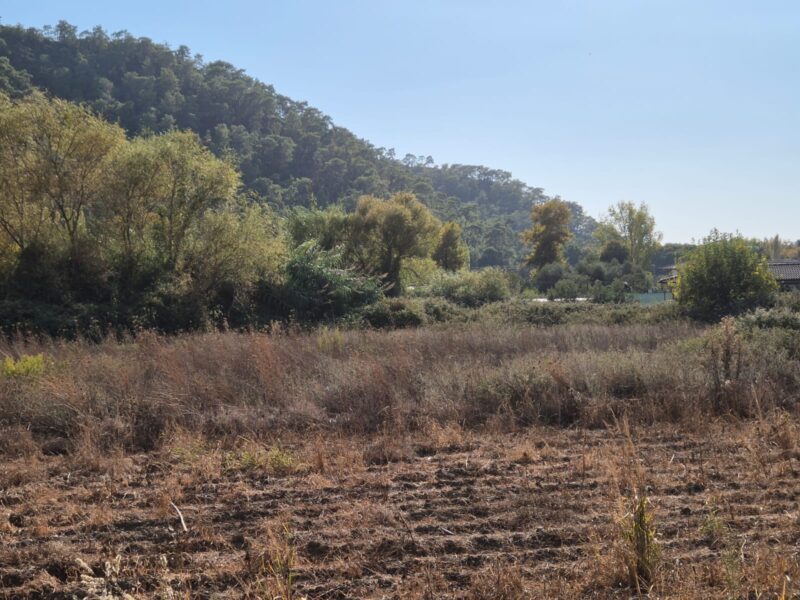 Fethiye İnlice'de Satılık Yola Sıfır Tarla