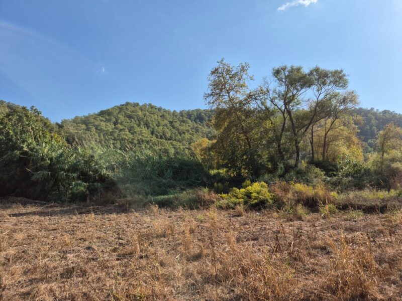 Fethiye İnlice'de Satılık Yola Sıfır Tarla