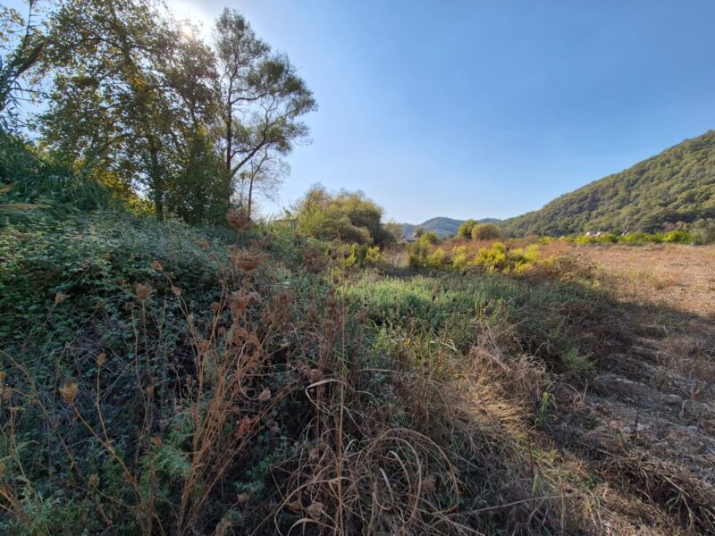 Fethiye İnlice'de Satılık Yola Sıfır Tarla