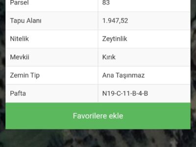 SÖGÜTCÜK TE SATILIK ZEYTİNLİK