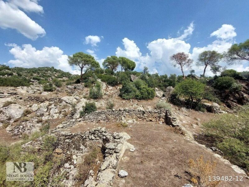 MİLAS ÇINARLI DA KÖY İÇİ TAŞ EV VE ARSASI