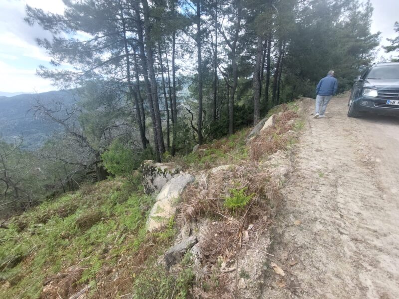 Muğla Milas 'ta Satılık Bahçe