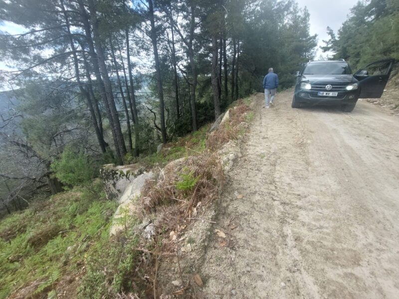 Muğla Milas 'ta Satılık Bahçe