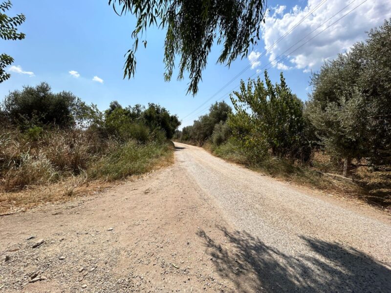 Muğla Milas Selimiye’de Satılık Tarla