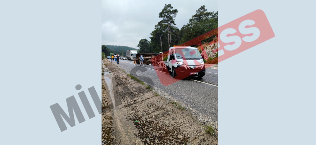 Milas Tuzabat Mahallesi’nde Minibüs Kazası: Sürücünün Sağlık Durumu İyi