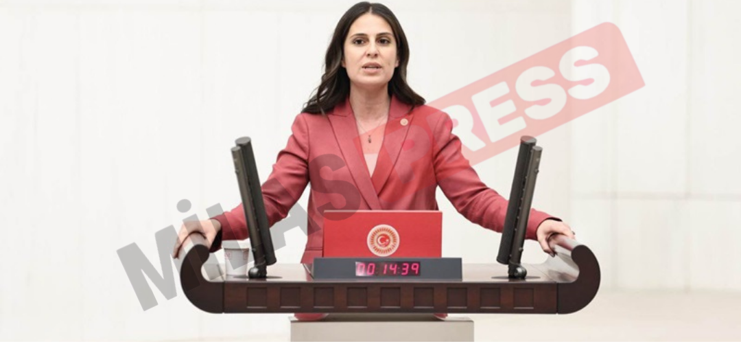 İasos’ta Maden Yükleme Limanı Projesine Yargı ‘Dur’ Dedi