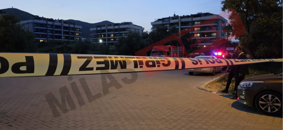 Milas Ege Caddesi’nde Trafik Kazası: Motosiklet Sürücüsü Yaralandı