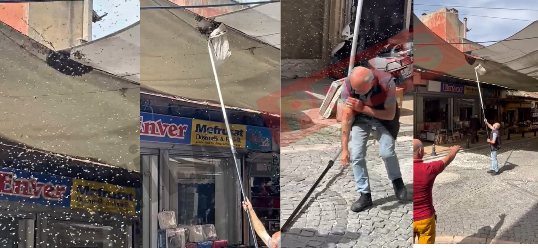 Milas’ta Sokak Ortasında Patlayan Arı Kovanı Mahalleliyi Alarma Geçirdi