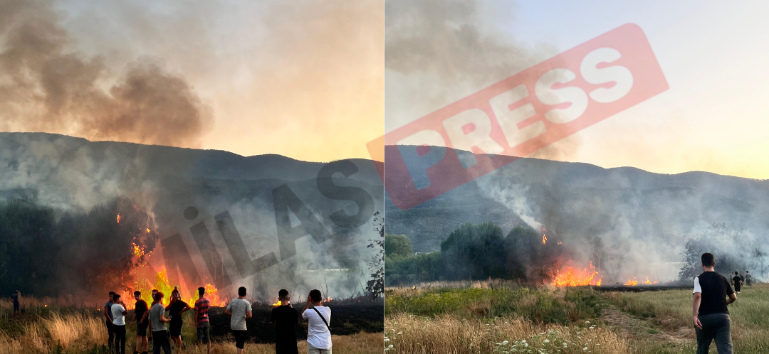 Milas Selimiye Kurudere Mahallesi’nde Korkutan Yangın: Alevler Dikili Arazilere Sıçradı