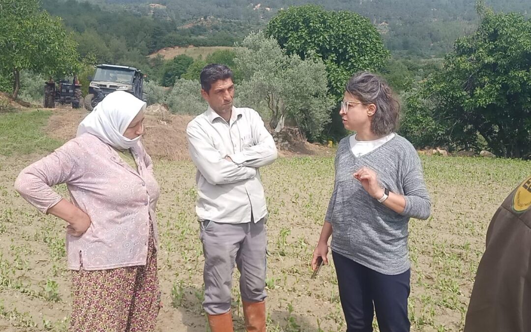 Muğla Büyükşehir Belediyesi’nden Dolu Felaketine Karşı Hızlı ve Etkili Müdahale