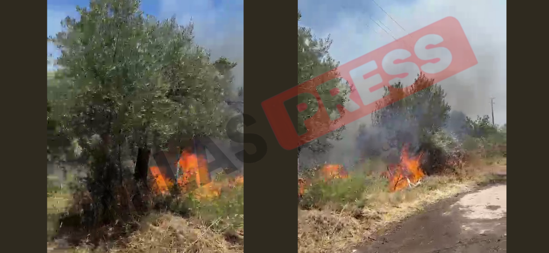 Milas Pınarcık’ta Makilik ve Zeytinlik Alanda Yangın