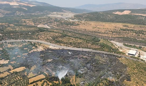 Milas-Yatağan Yolunda Çıkan Yangın 2 Saatte Kontrol Altına Alındı