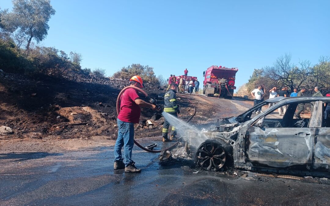 Milas Kıyıkışlacık’ta Araç Yangını Ormana Sıçradı: Erken Müdahale Felaketi Önledi