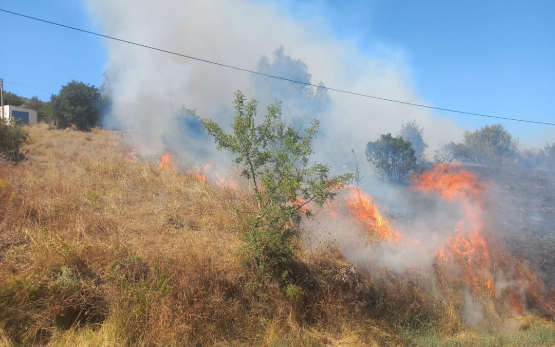 Milas Dörttepe’de Mera Yangını Korkuttu: Elektrik Direği Koptu, Alevler Yayıldı