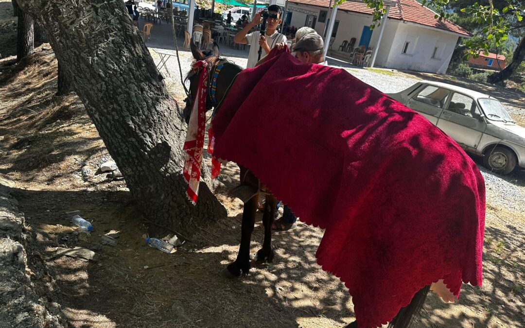 Milas’ta Unutulmaz Gelenek: Narhisar’da Atlı Gelin Alma Töreni Yeniden Canlandırıldı