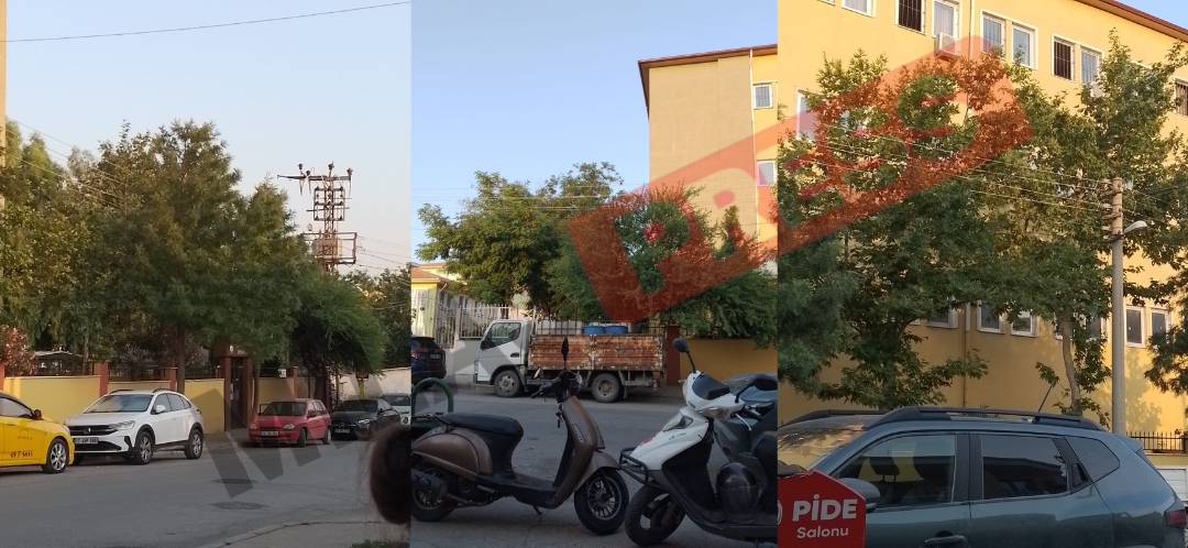 Mete Ersoy Okulu Yanındaki Ağaçlar Tehlike Saçıyor: Elektrik Tellerine Temas Ediyor
