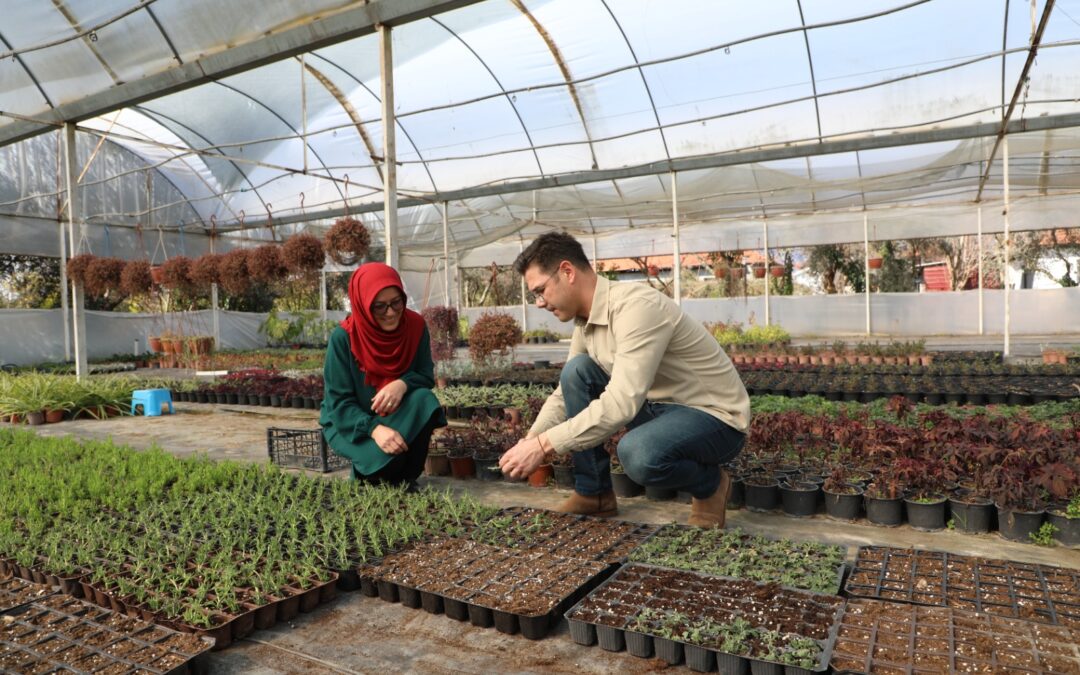 Kadın Eliyle Büyüyen Üretim: Muğla’da 23 Milyon TL Tasarruf, 27 Milyon Çiçek
