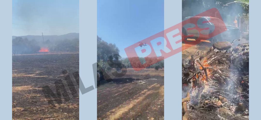 Milas’ta Eş Zamanlı Çıkan İki Yangın Kontrol Altına Alındı