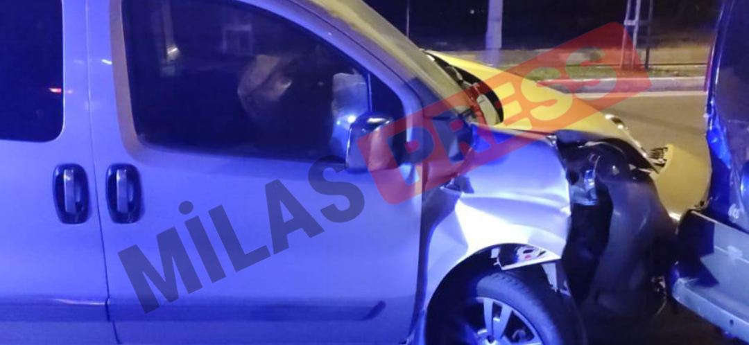 Milas-Bodrum Karayolunda Trafik Kazası: Araç Park Halindeki Otomobile Çarptı, 1 Yaralı