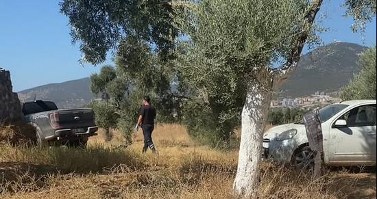 Milas’ta Şüpheli Ölüm: Zeytinlikte Hareketsiz Halde Bulundu
