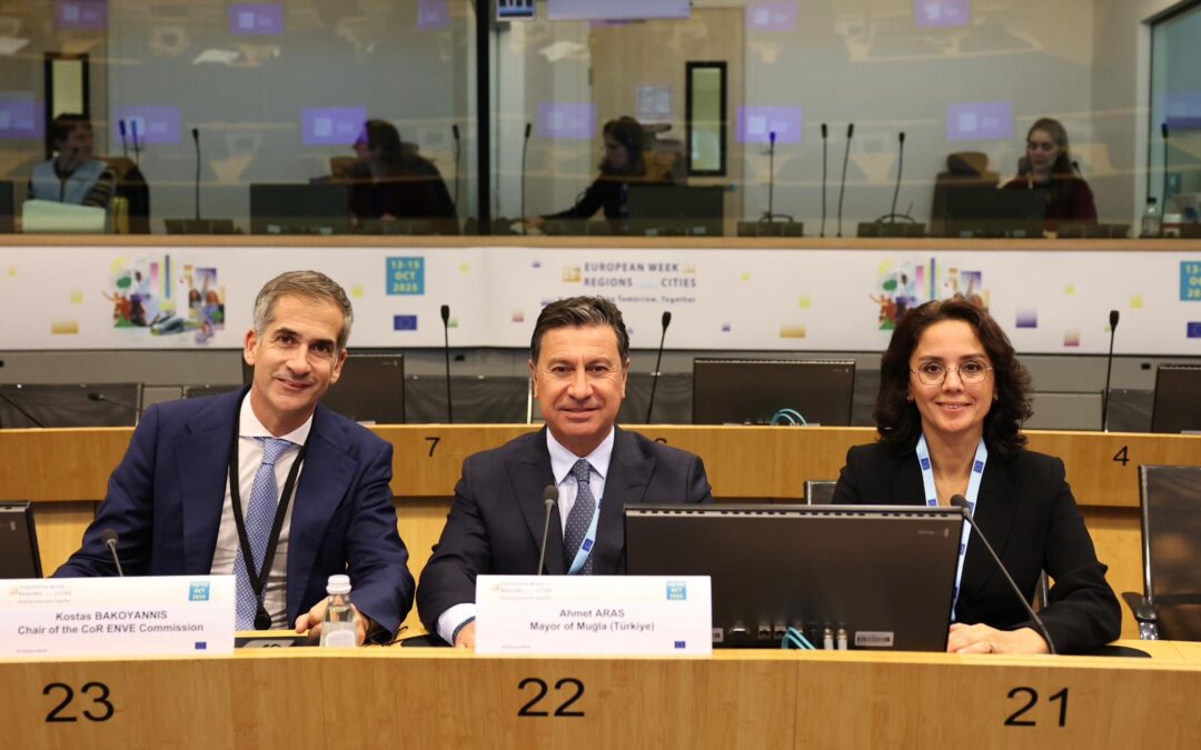 Başkan Aras Brüksel’de Demokrasi, İklim ve Sürdürülebilirlik Temasları Yürüttü