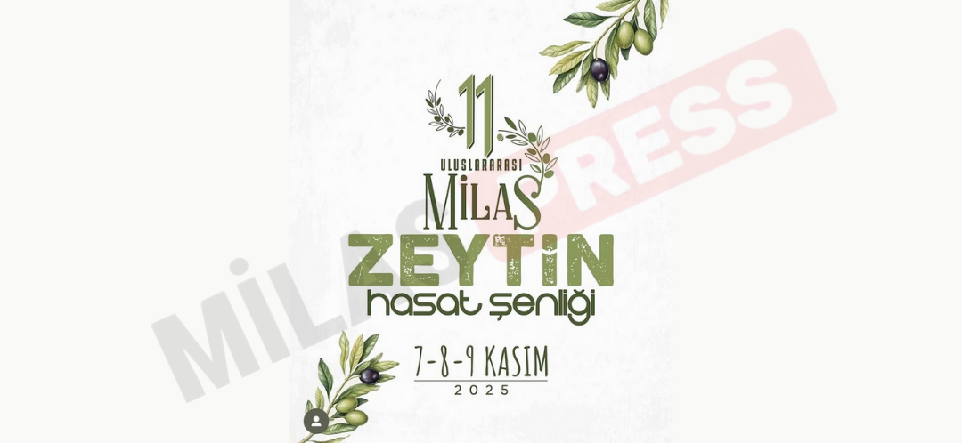 Milas, 11. Uluslararası Zeytin Hasat Şenliği’ne Hazırlanıyor: Üç Gün Boyunca Müzik, Kültür ve Lezzet Bir Arada