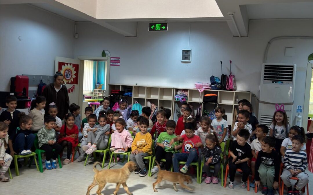 Veteriner Hekimlerden Miniklere Hayvan Sevgisi Dersi