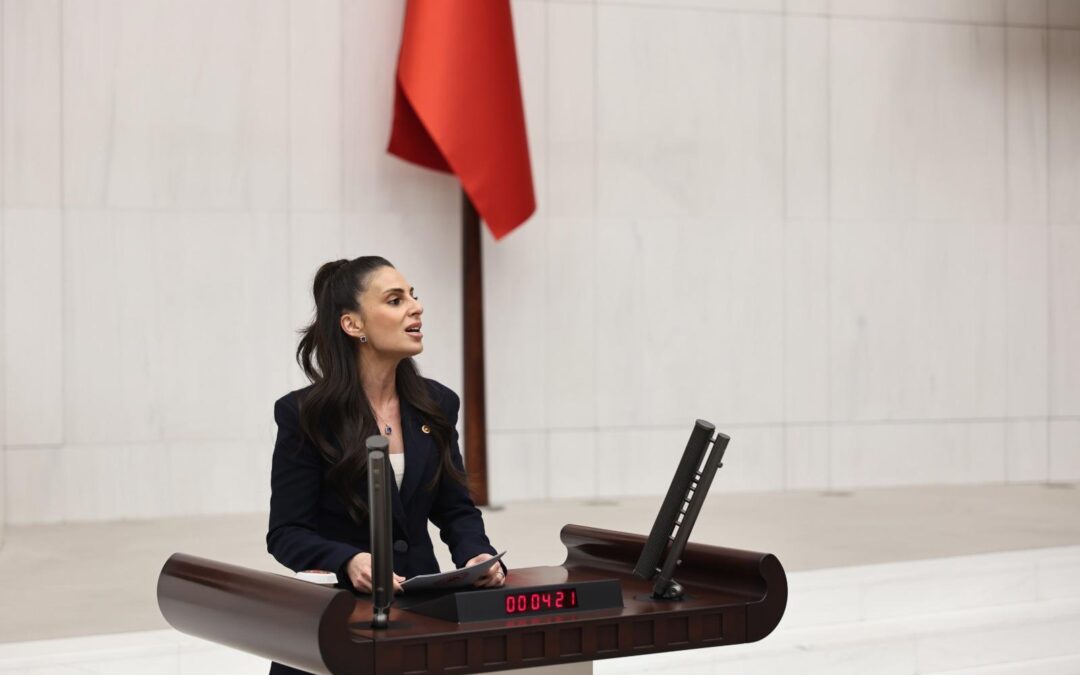 TBMM’de Suça Sürüklenen Çocuklar İçin Komisyon Çalışmalarına Başladı