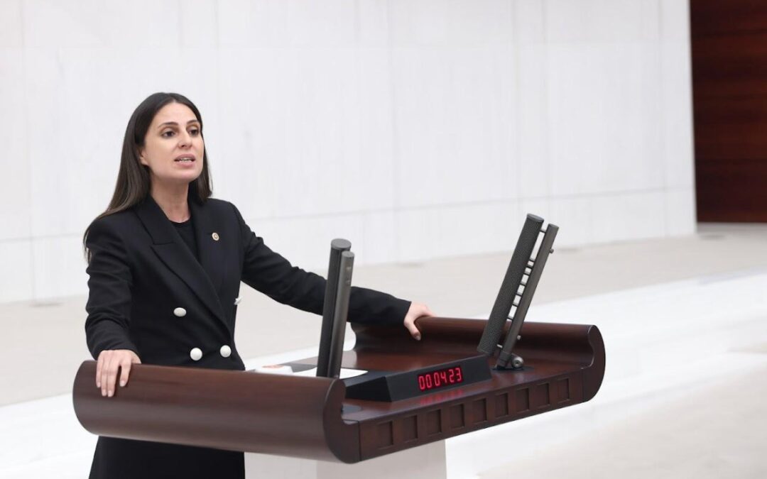 CHP’li Gizem Özcan: Gazetecilik, Hakikati Savunmanın ve Halkın Haber Alma Hakkını Korumak Demektir