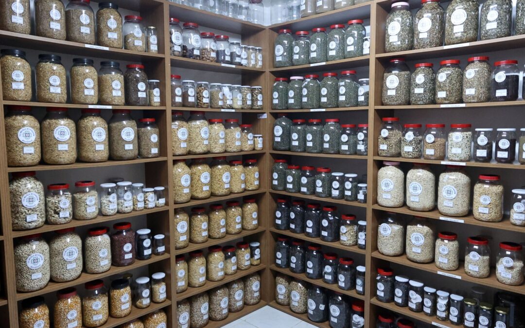 Muğla Büyükşehir Yerel Tohum Merkezi’nden 81 İle 22 Milyon Yerel Tohum Desteği