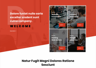 Company – 30