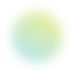 app-11 shape_3 (9)