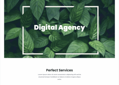 Agency