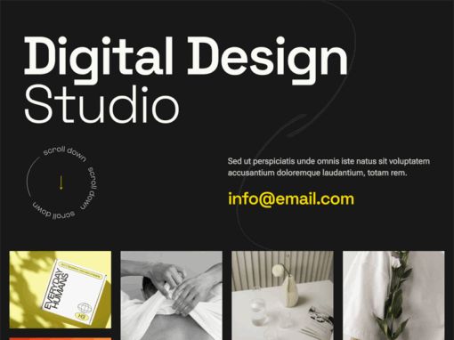 Portfolio – 12